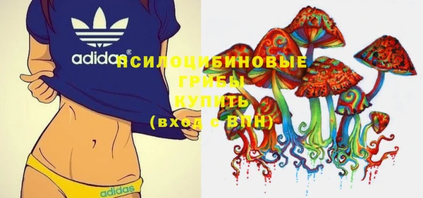 бошки Алексеевка