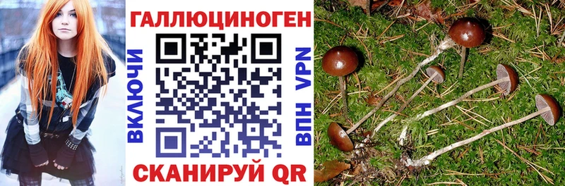 Галлюциногенные грибы ЛСД Вихоревка
