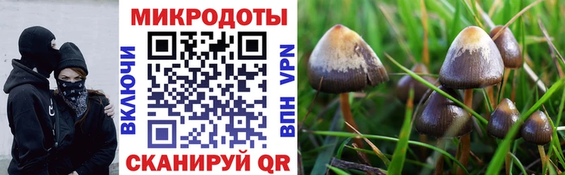 Псилоцибиновые грибы ЛСД Вихоревка